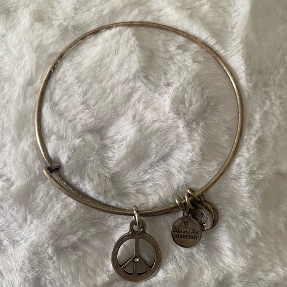6 Alex and Ani Bracelets and 1 Pandora bracelet without charms - Picture 7 of 8